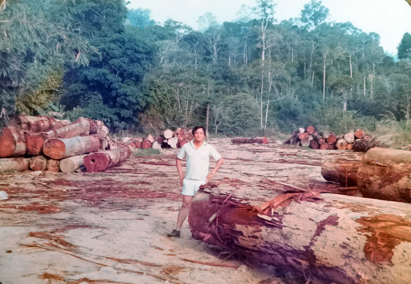 The Timber Industry · Historical Photographs · photo 1