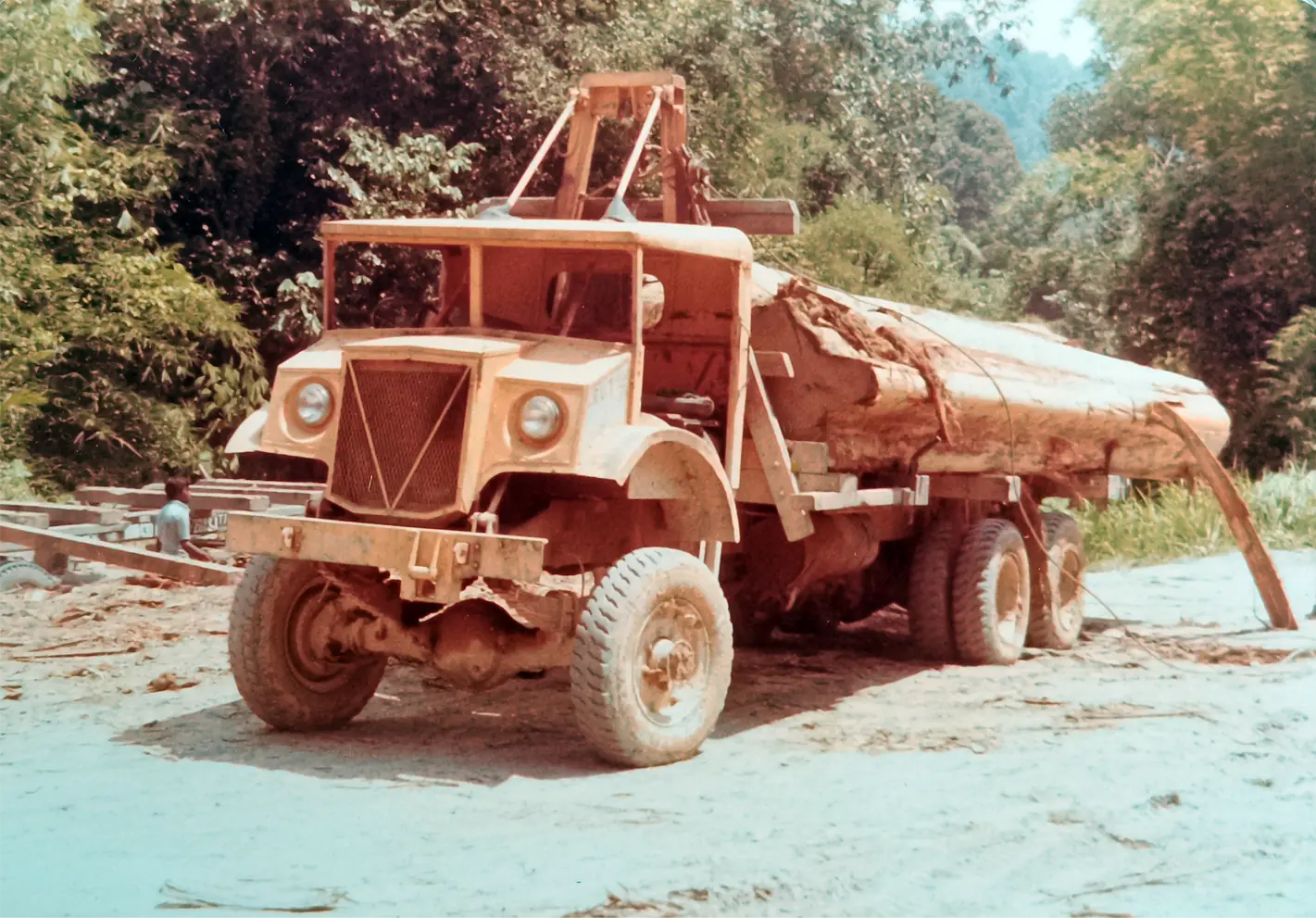 The Timber Industry · Historical Photographs · photo 3