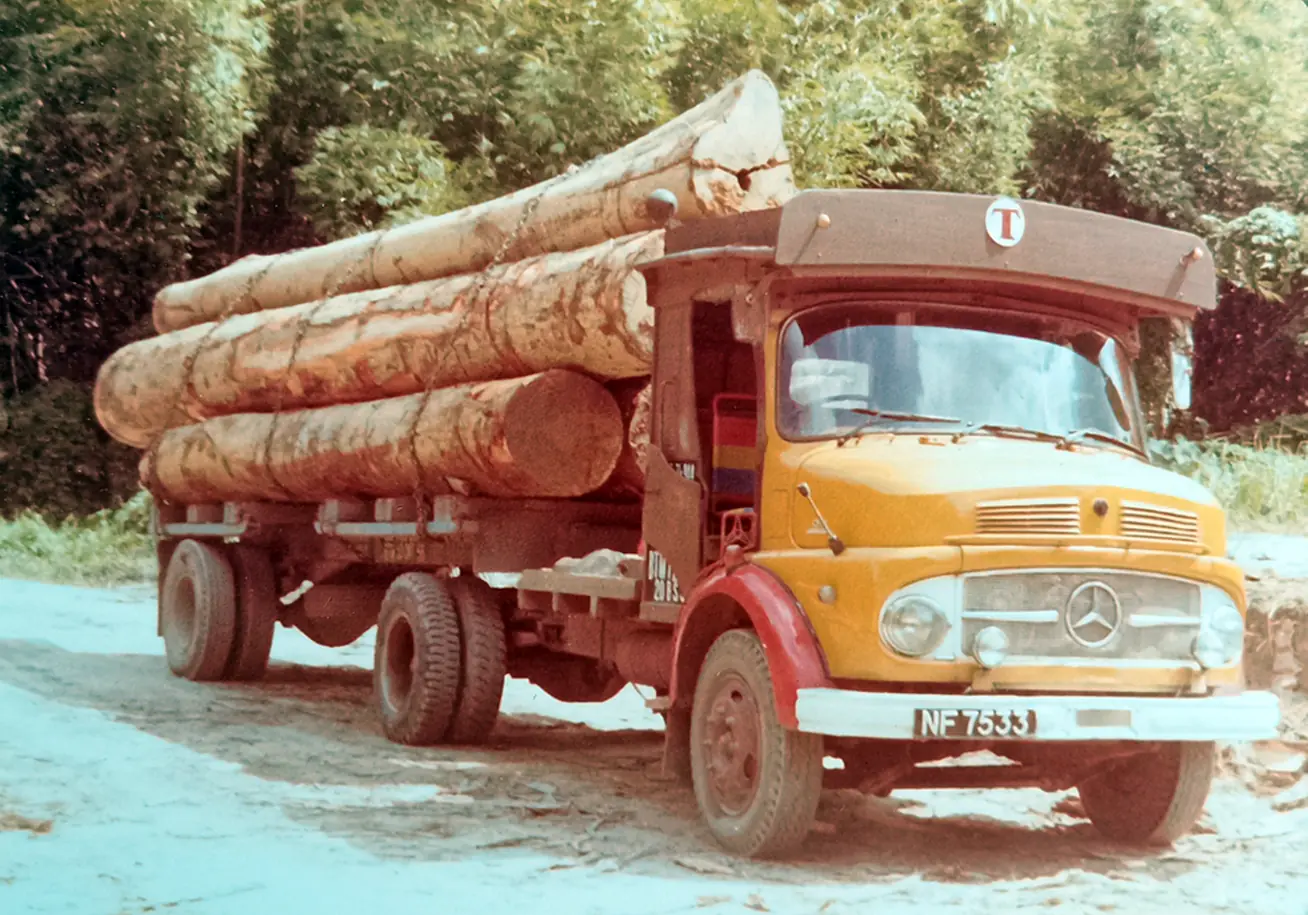 The Timber Industry · Historical Photographs · photo 4