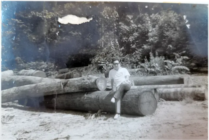 The Timber Industry · Historical Photographs · photo 6