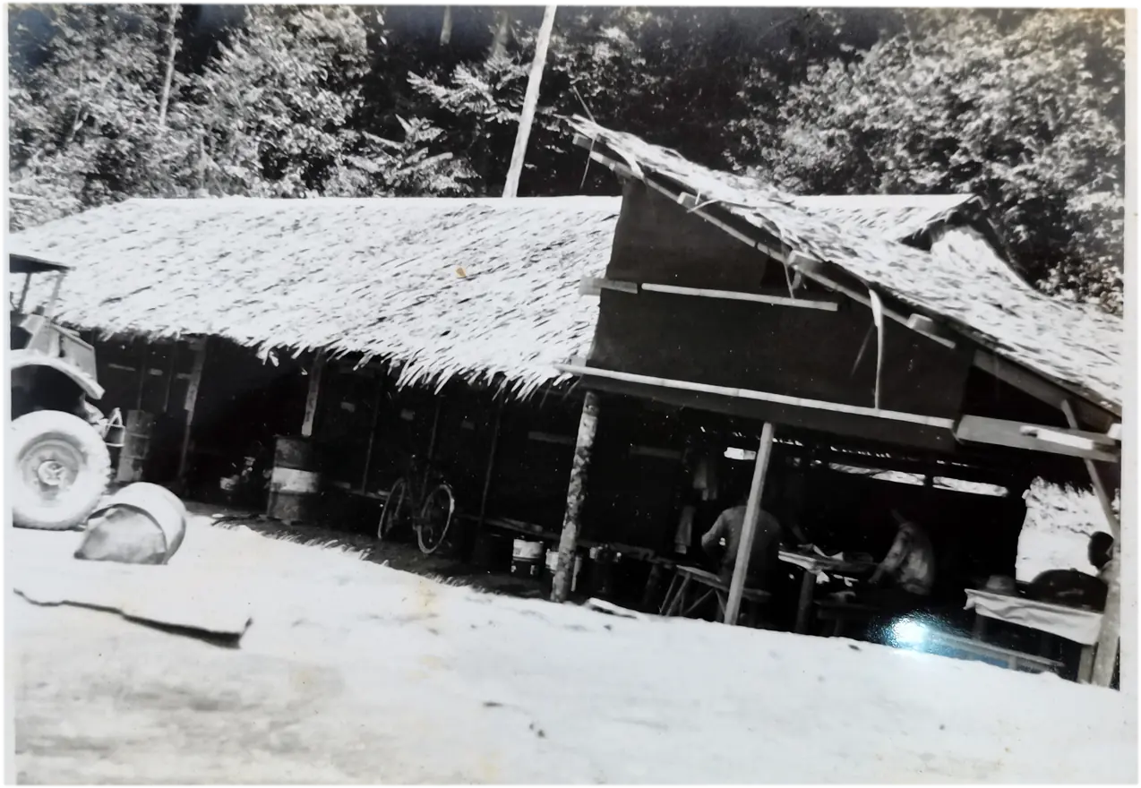 The Timber Industry · Historical Photographs · photo 13