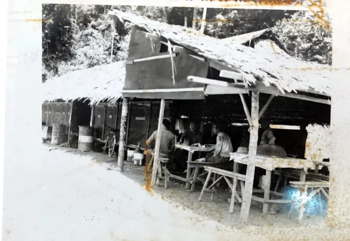 The Timber Industry · Historical Photographs · photo 14