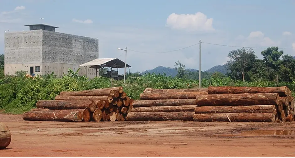 The Timber Industry · Historical Photographs · photo 17