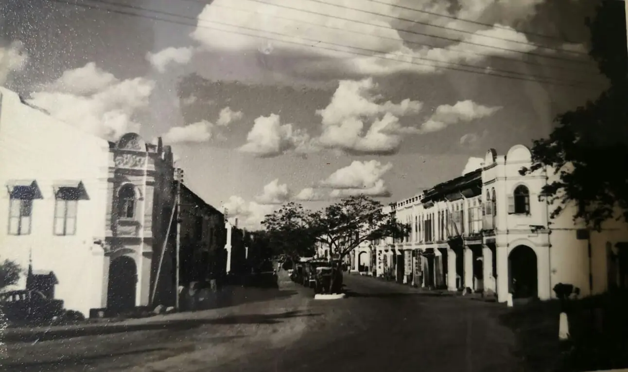 The Timber Industry · Historical Photographs · photo 34