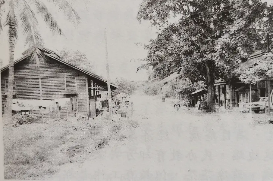 Ten Houses · photo 2