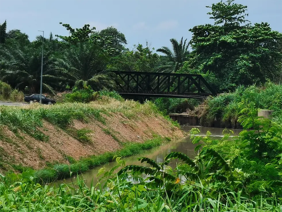 Not far from Hainan Village, there used to be a train bridge spanning a quiet river. The bridge is part of village life and has witnessed the passage of countless trains and stories. However, time is not forgiving. After the 1970s, this train bridge was gradually replaced by new railways. Despite being replaced, the derelict train bridge remains a testament to history, recalling the bustle and energy of bygone years. Under it, the train of that year rang, and people gathered together to talk about every detail of life. Today, although this bridge no longer carries trains, it still exists silently, witnessing the passage of time and the changes in life.