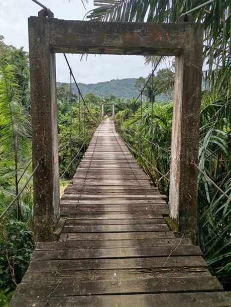 平芭吊桥