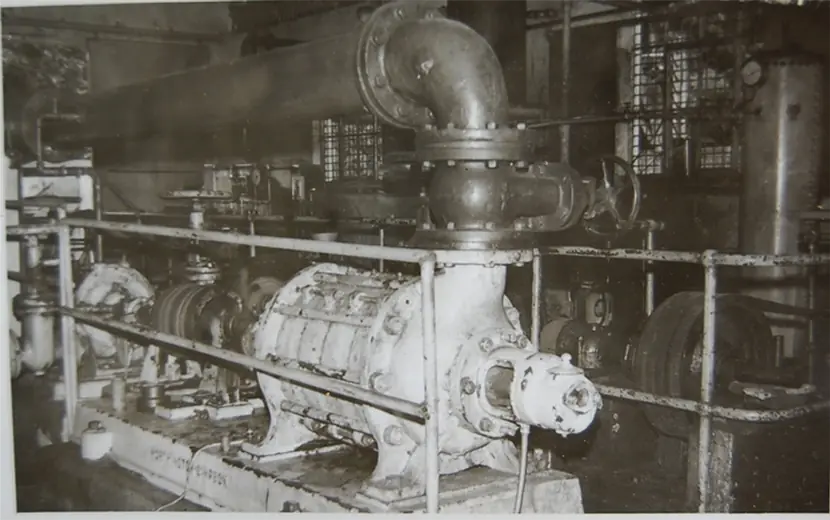 The story of Ladang Geddes · photo 13