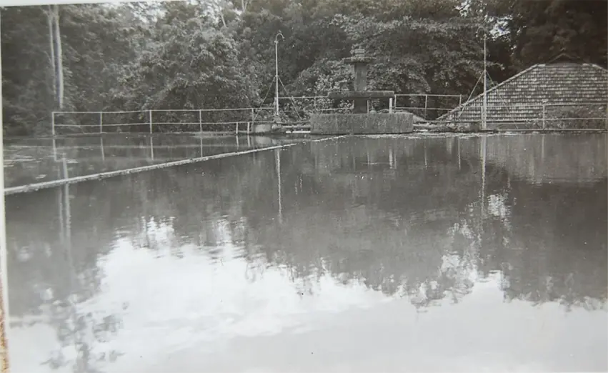 The story of Ladang Geddes · photo 14