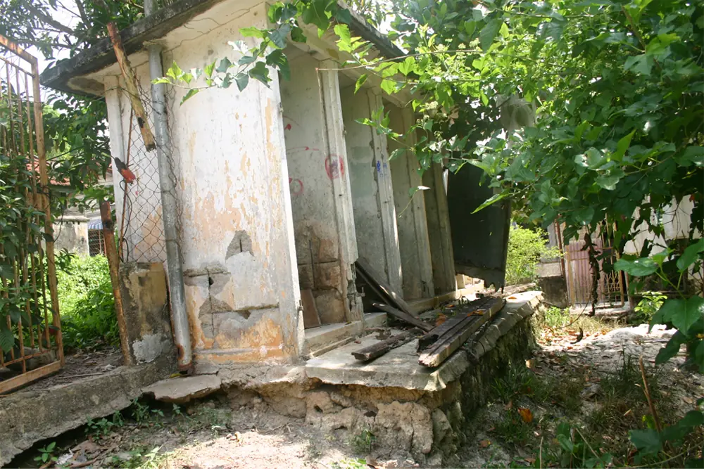 The story of Ladang Geddes · photo 18