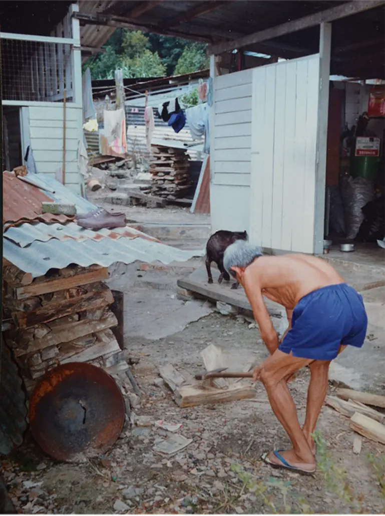 The story of Ladang Geddes · photo 19