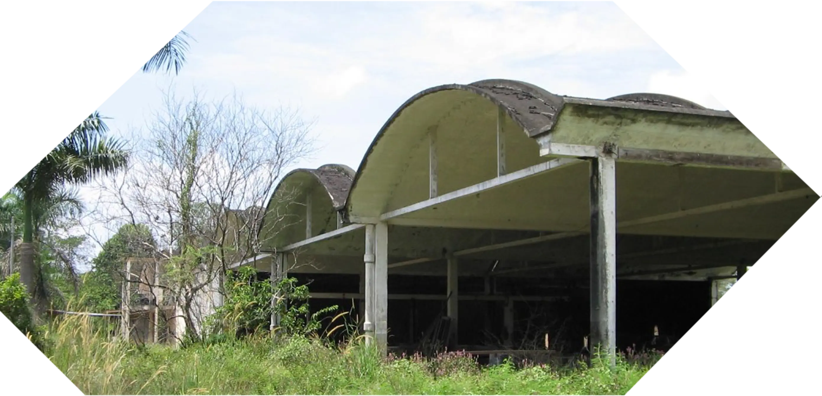 The story of Ladang Geddes · photo 30