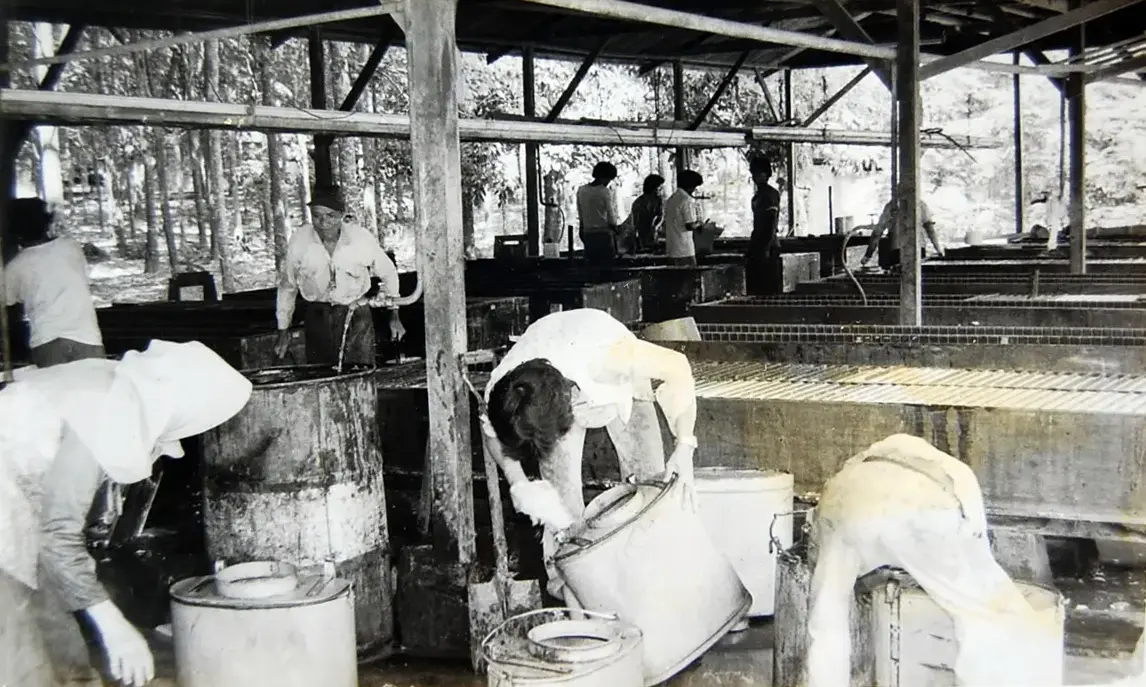 The story of Ladang Geddes · photo 34