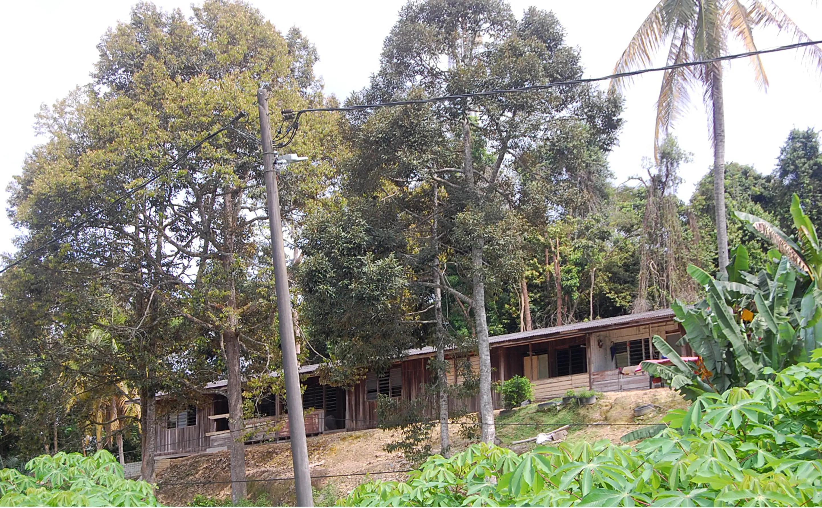 longhouse