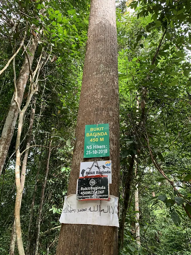 “Wave Rock” of Malaysia - Hiking along Bukit Baginda Trail · photo 1