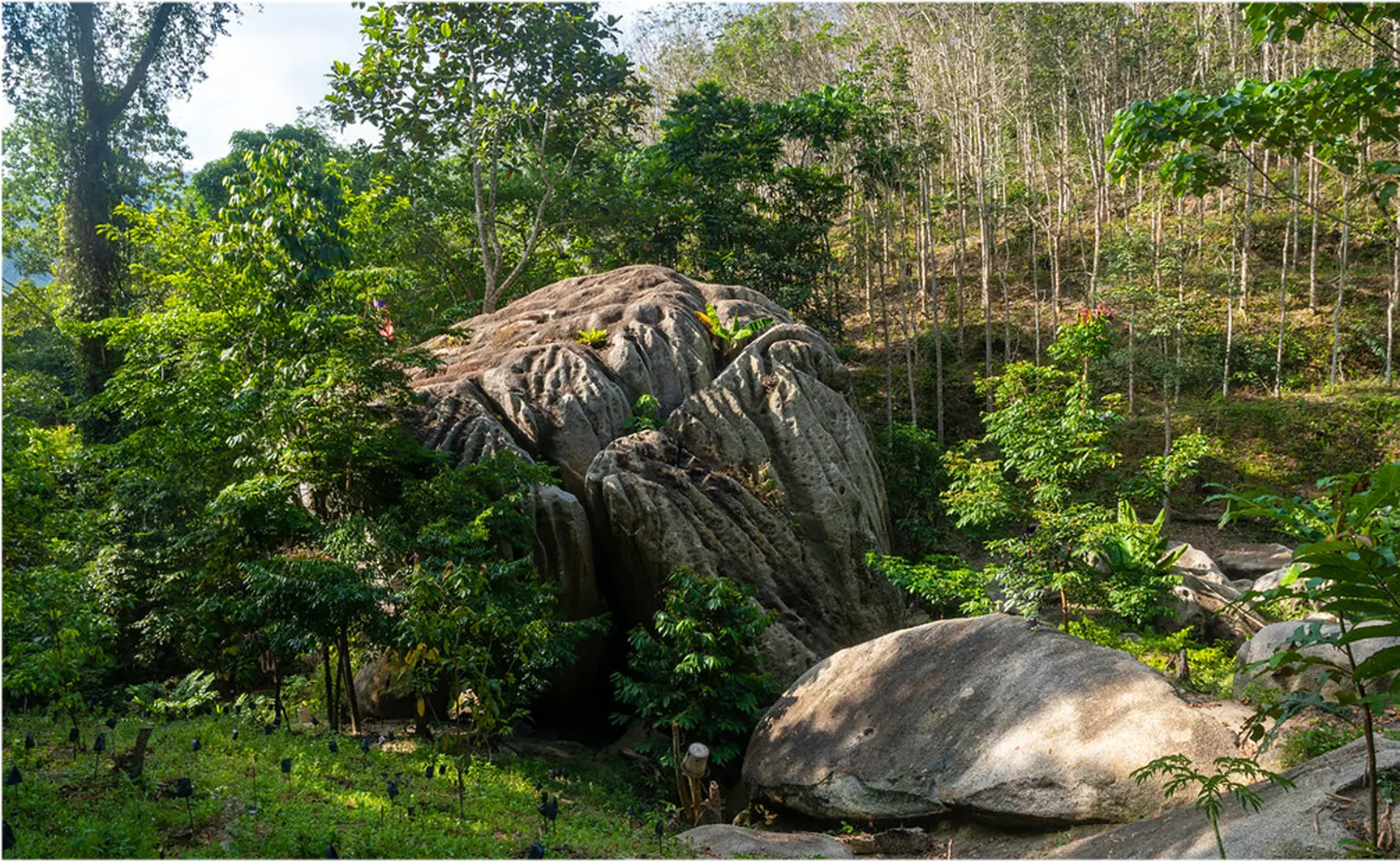 Wave Rock of Malaysia  Hiking along Bukit Baginda Trail