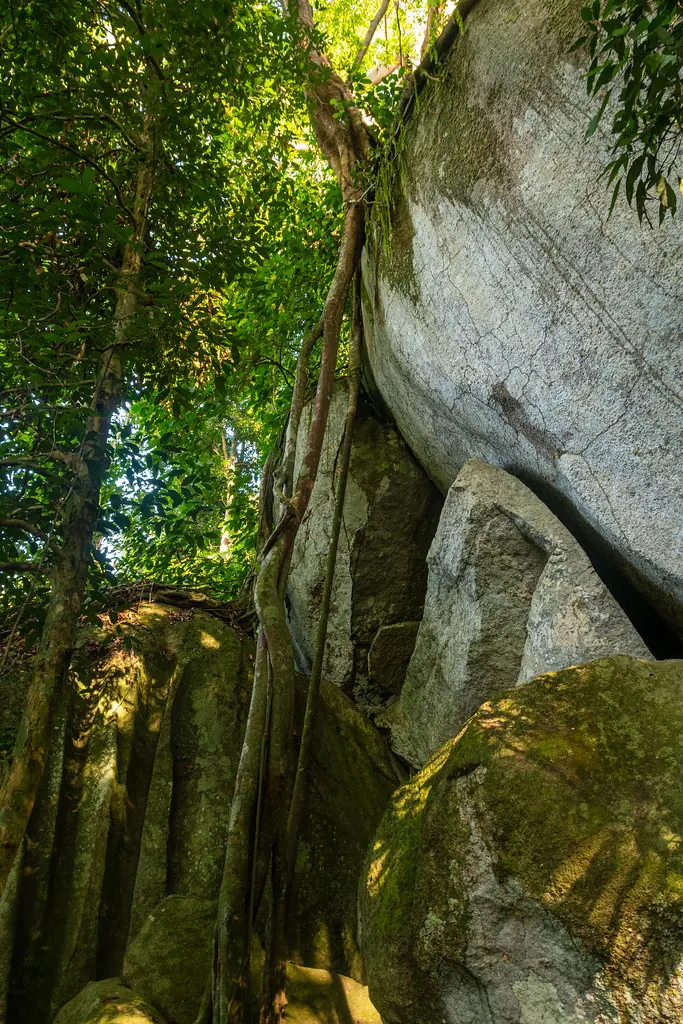 “Wave Rock” of Malaysia - Hiking along Bukit Baginda Trail · photo 6